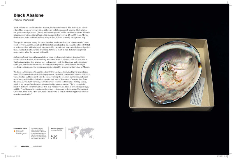 Book 'Extinction' by Marc Schlossman