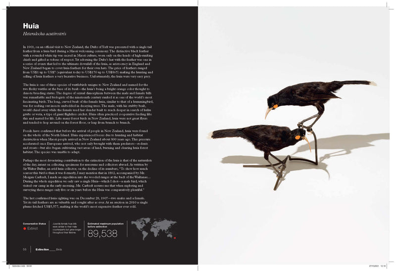 Book 'Extinction' by Marc Schlossman