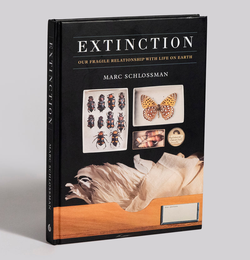 Book 'Extinction' by Marc Schlossman
